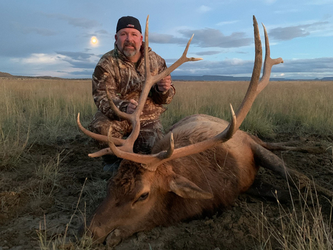 New Mexico Private Land Bull Elk Hunts Unit 12