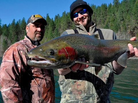 Idaho Fish n Hunt - Idaho Rod & Reel - Early Trout and Spring Steelhead -  Steelhead - Steelhead Fishing - Trout - Fishing - Idaho Fishing - Fishing  Idaho - steelhead migration - Clearwater River - Salmon River - Snake River