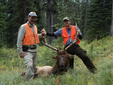 Montana Horseback Wilderness Elk Hunt 
