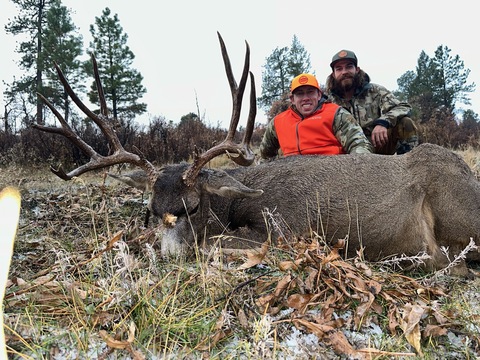 Colorado Trophy Quality Mule Deer
