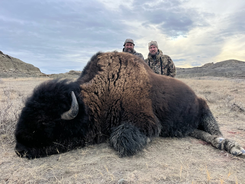 South Dakota Private Land Bison Hunt