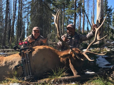 Lodge Based or Back-Country Idaho Elk Hunt