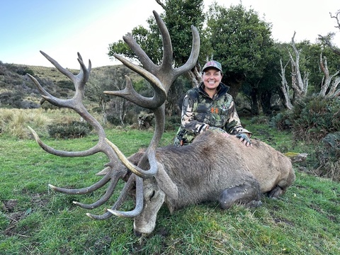 Trophy Quality Red Stag in New Zealand