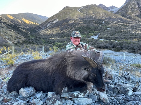 Trophy Quality Red Stag in New Zealand