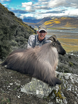 High Success New Zealand Tahr Hunt