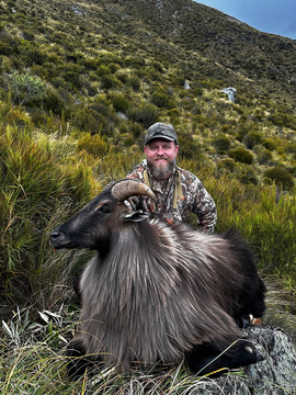 High Success New Zealand Tahr Hunt