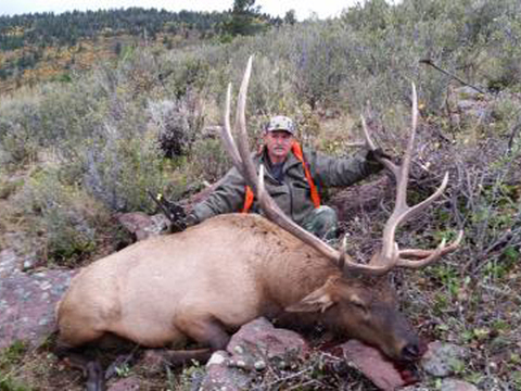 Utah Diamond Mountain Trophy Class Bull Elk