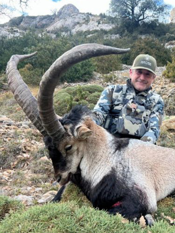 Spain Ibex