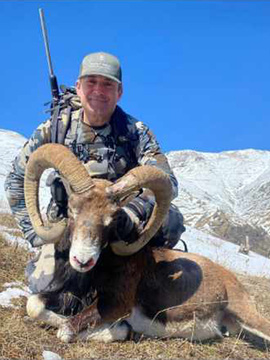 Spain Ibex