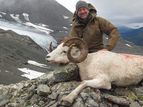 Chugach Mountains Fly-In Dall Sheep