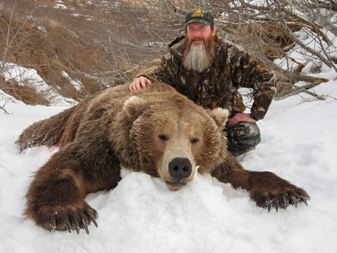 Alaksa Peninsula Brown Bear Hunt