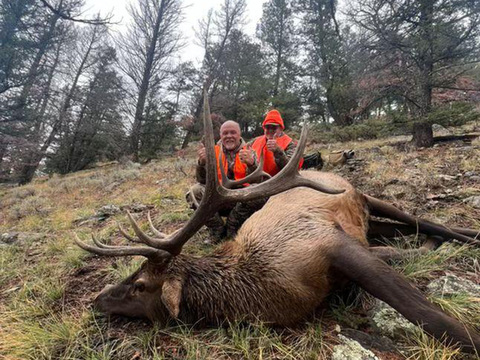 Colorado Gunnison Basin OTC Elk Hunt