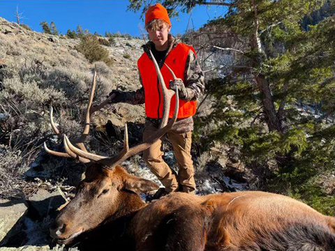 Colorado Gunnison Basin OTC Elk Hunt