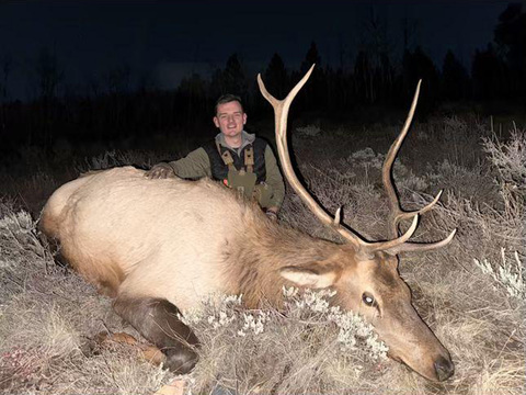 Colorado Gunnison Basin OTC Elk Hunt