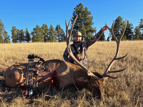 Montana Bitterroot Mountains Elk Hunt