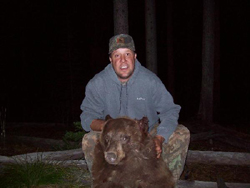 Wild Idaho Bear