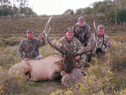 Triple H Elk