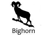 Bighornsilhouette